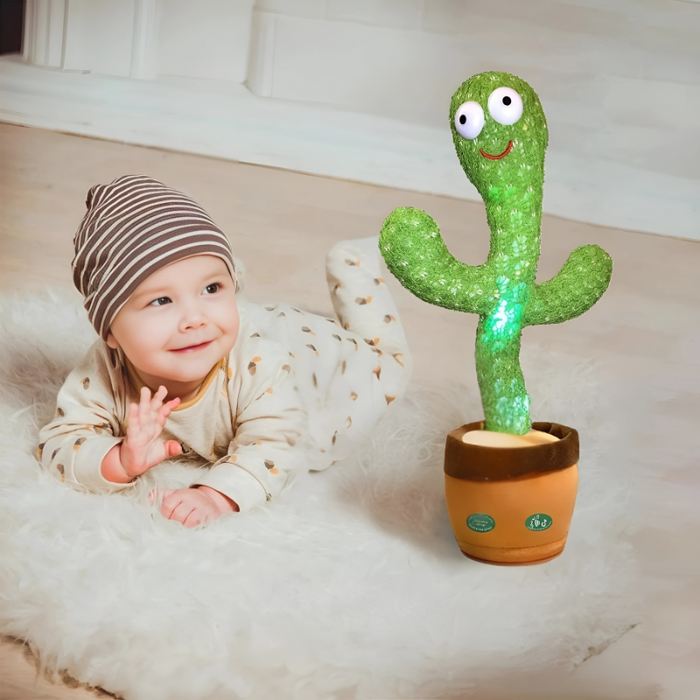 GroovyCactus